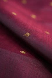 Rasika Kanjeevaram Silk Saree - SSRKSS49